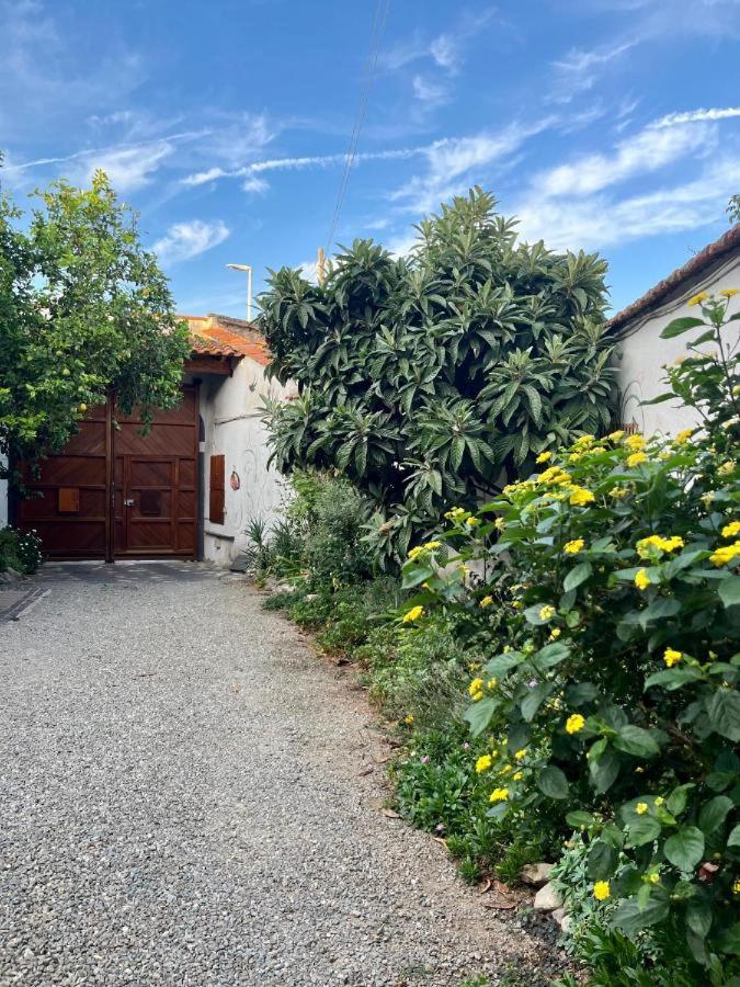 Casa Di Rosy San Sperate Exterior foto